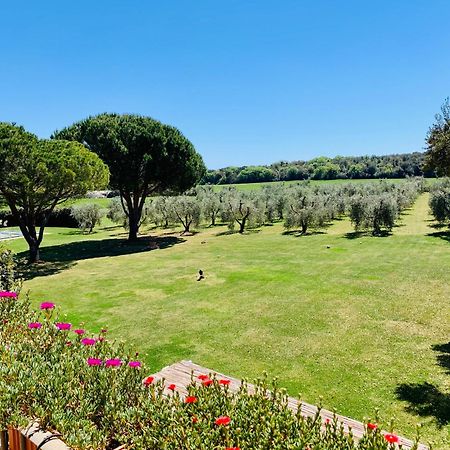 Il Borghetto Di Ansedonia Appartement Buitenkant foto