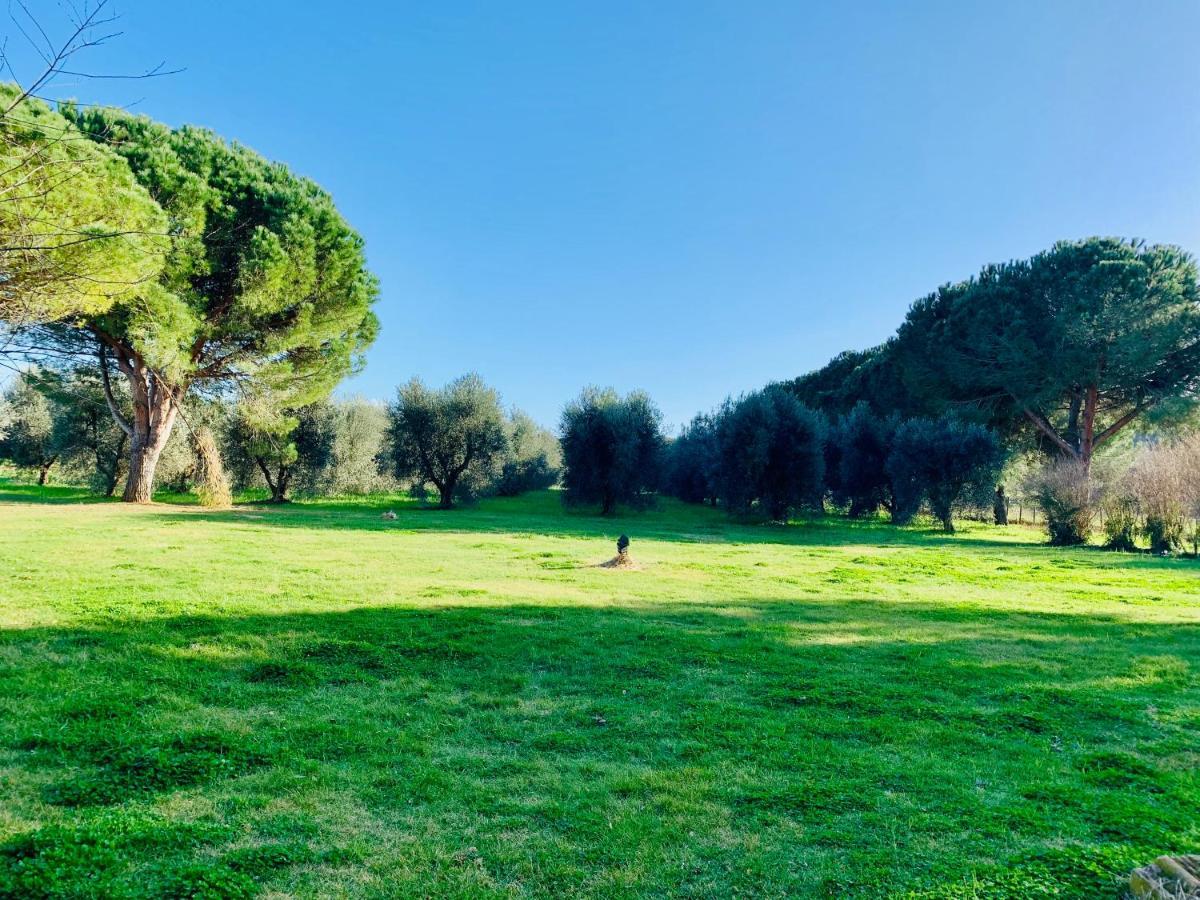Il Borghetto Di Ansedonia Appartement Buitenkant foto