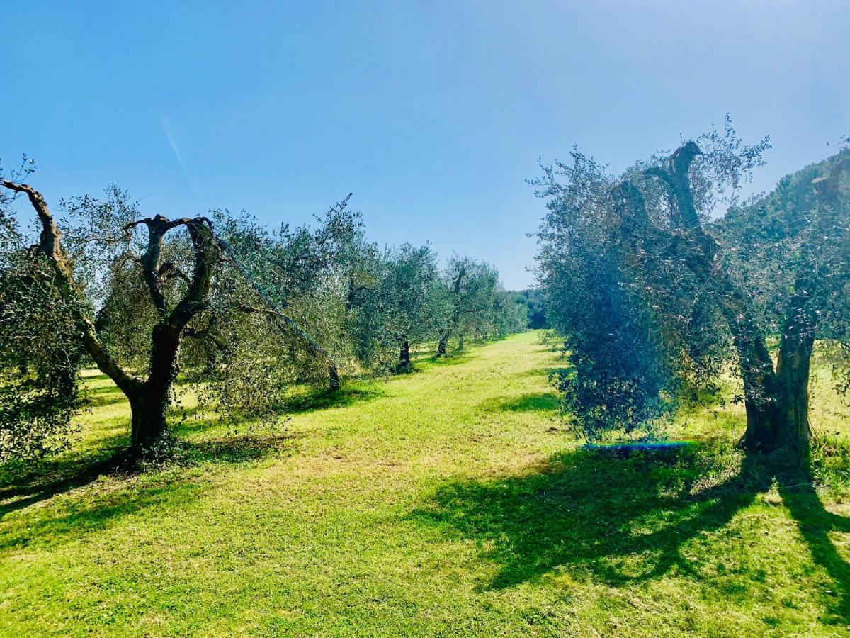 Il Borghetto Di Ansedonia Appartement Buitenkant foto