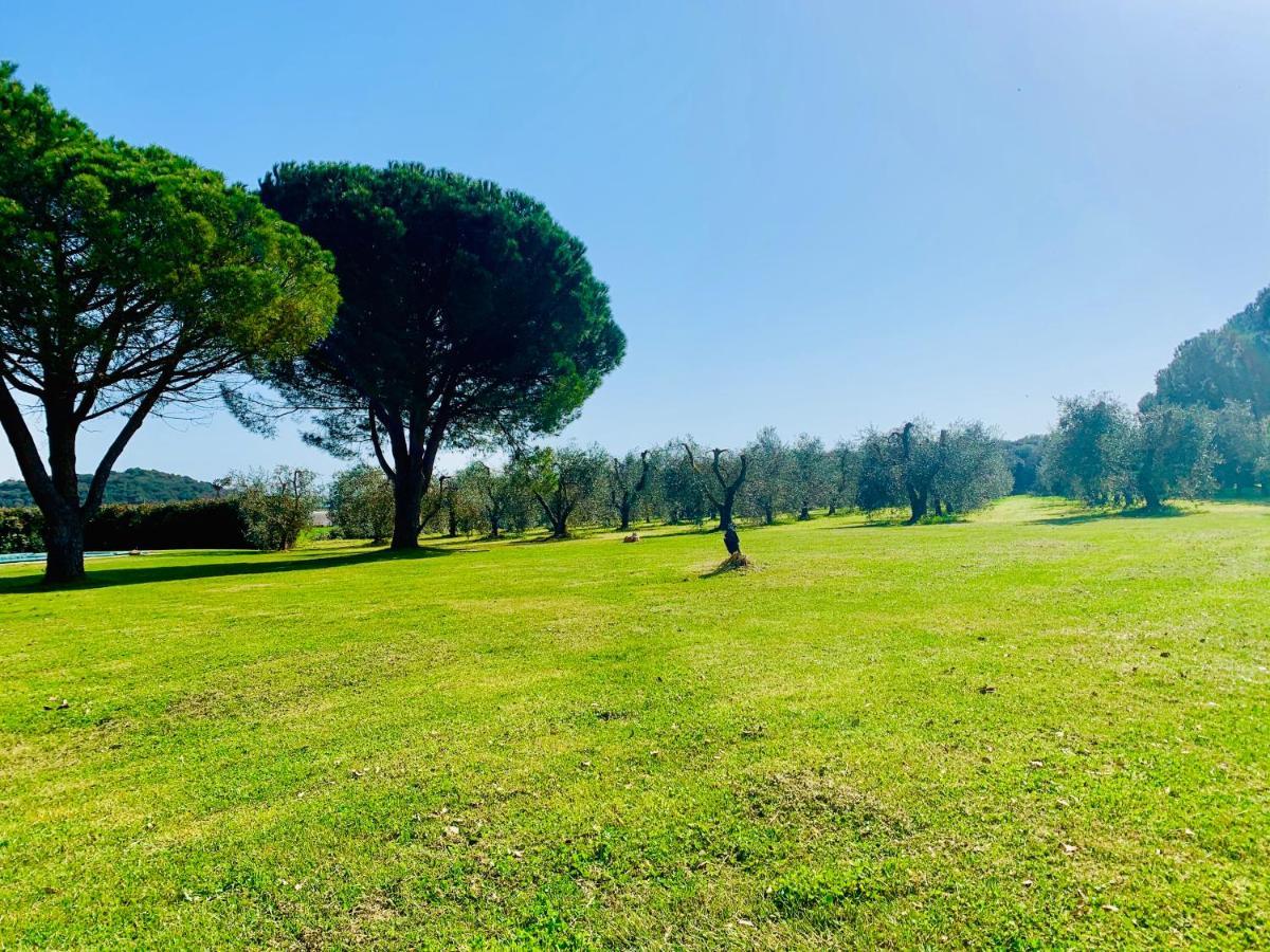 Il Borghetto Di Ansedonia Appartement Buitenkant foto