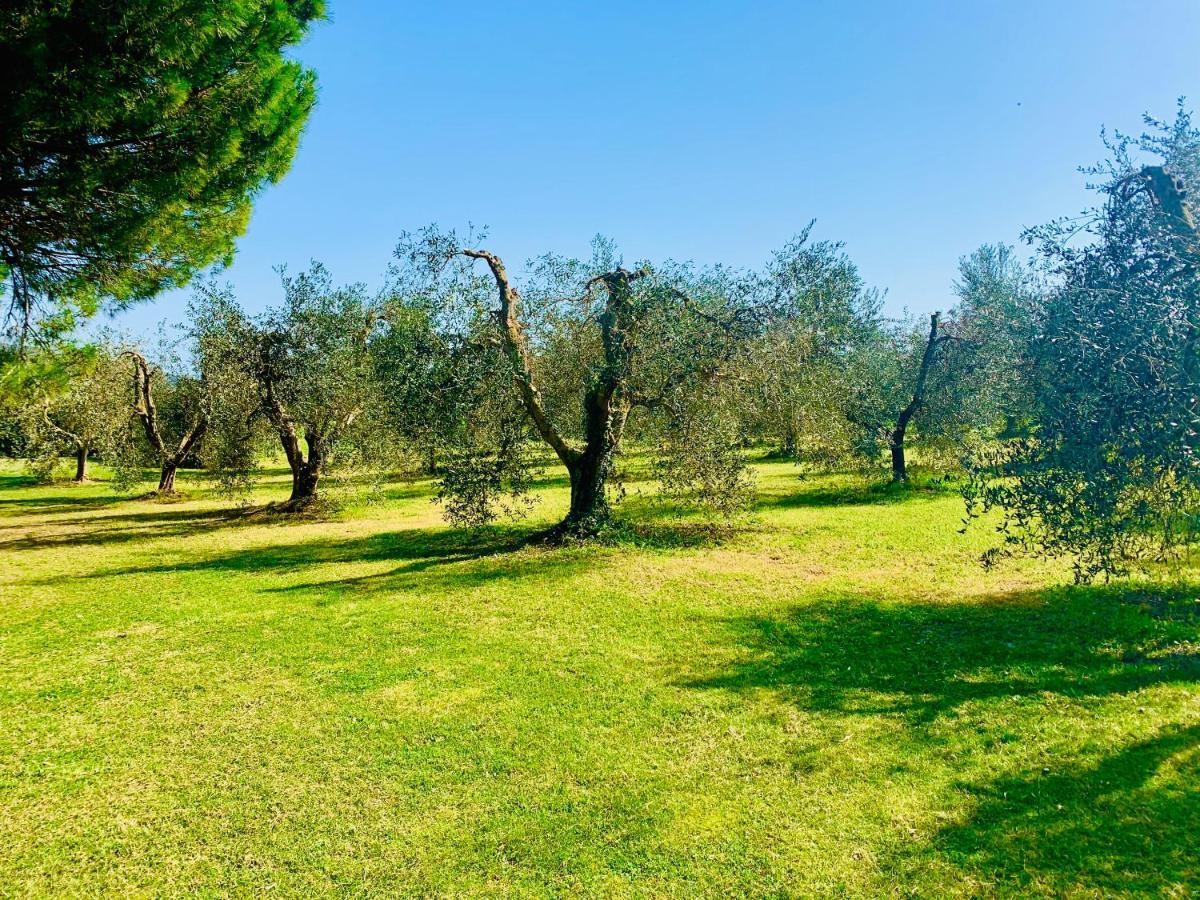 Il Borghetto Di Ansedonia Appartement Buitenkant foto