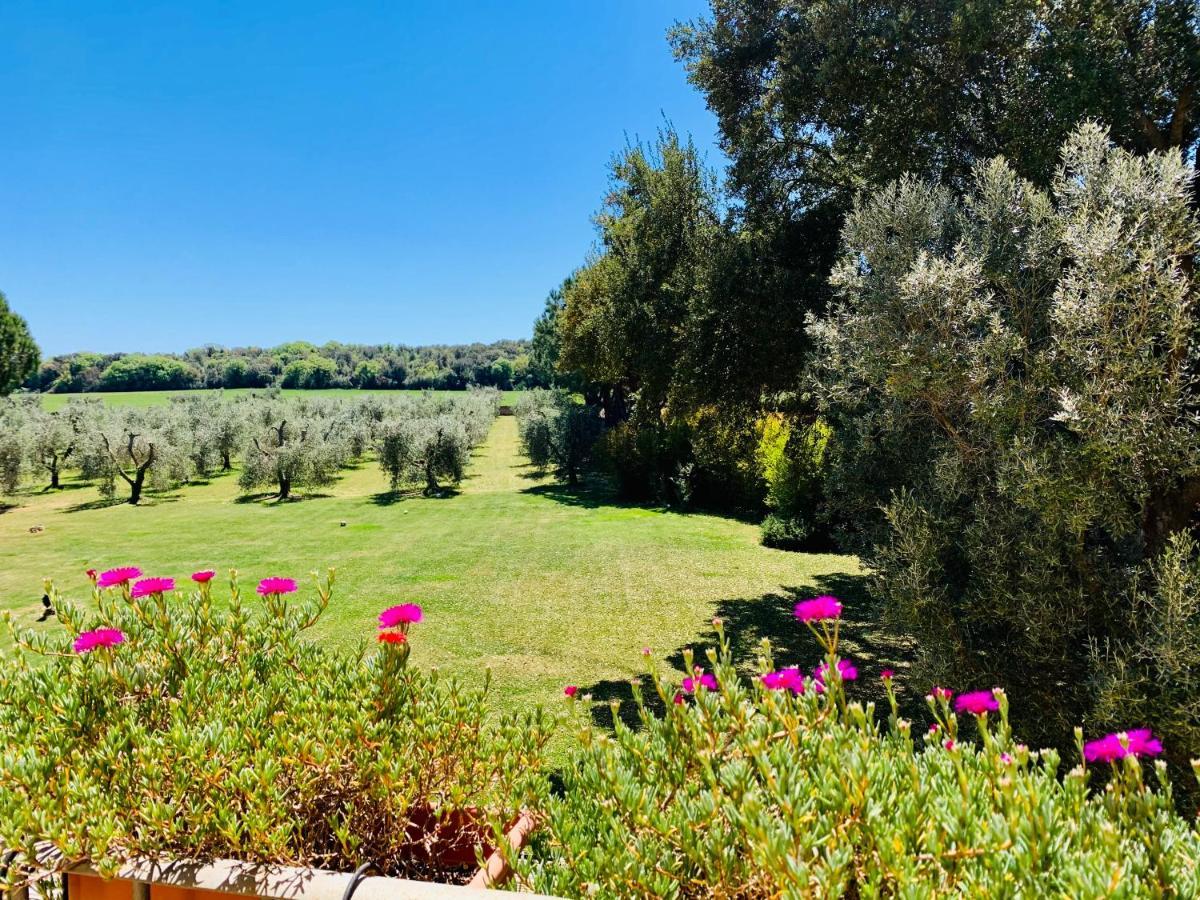 Il Borghetto Di Ansedonia Appartement Buitenkant foto