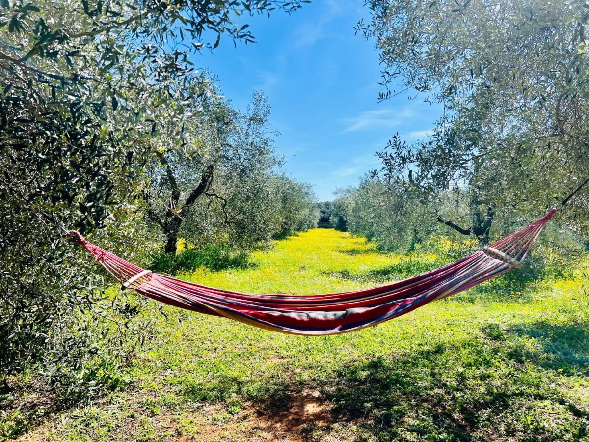 Il Borghetto Di Ansedonia Appartement Buitenkant foto